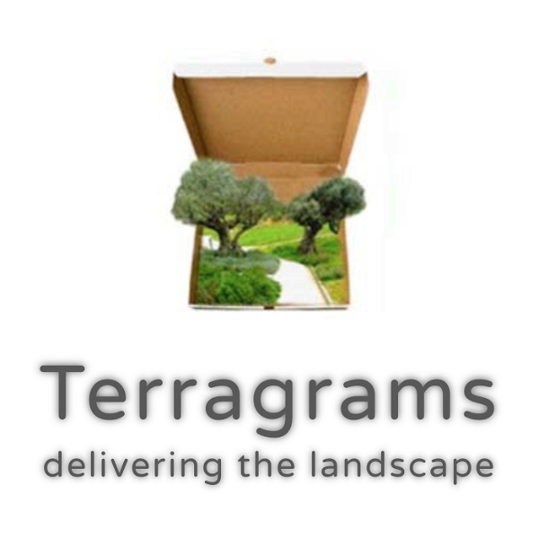 Artwork for Terragrams