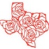 Texan Red Rose