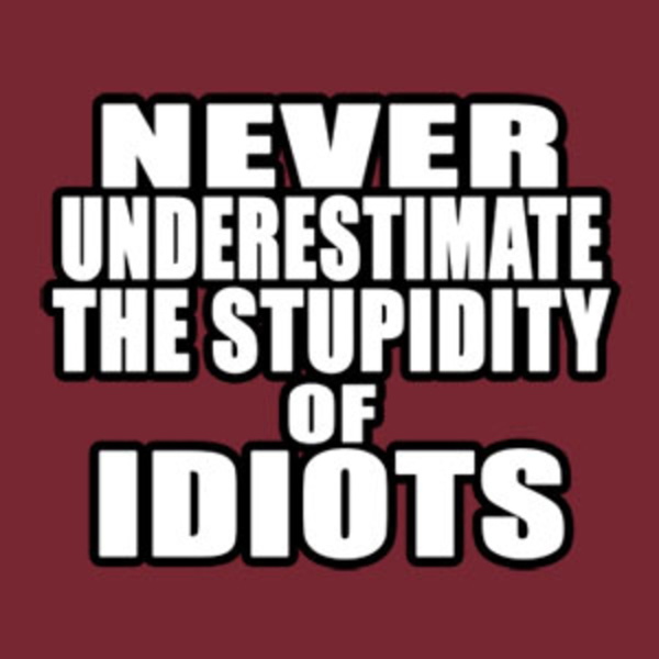 Artwork for The 2 Idiots Inc Podcast
