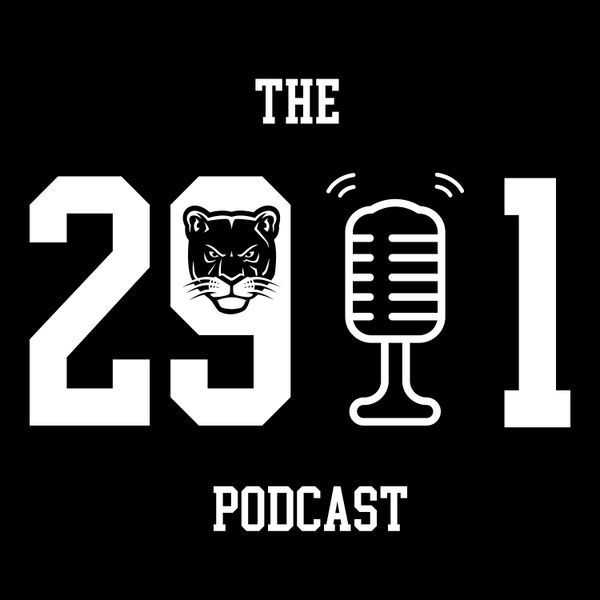 Artwork for The 29/1