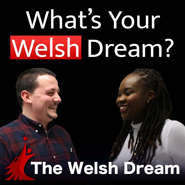 Artwork for The Welsh Dream