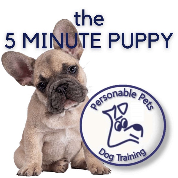 Artwork for The 5 Minute Puppy by Personable Pets Dog Training