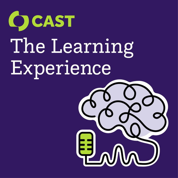 Artwork for The Learning Experience