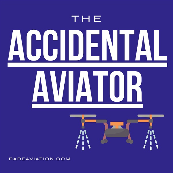 Artwork for The Accidental Aviator