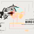 The Accidental Bird Dog Podcast