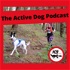 The Active Dog Podcast