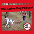 The Active Dog Podcast