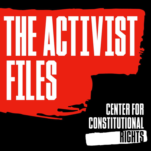 Artwork for The Activist Files Podcast