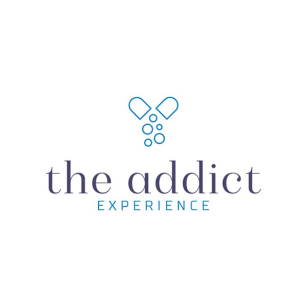 Artwork for The Addict Experience