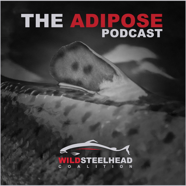 Artwork for The Adipose