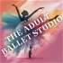 The Adult Ballet Studio