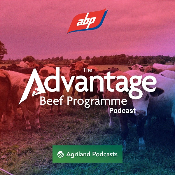 Artwork for The Advantage Beef Programme Podcast