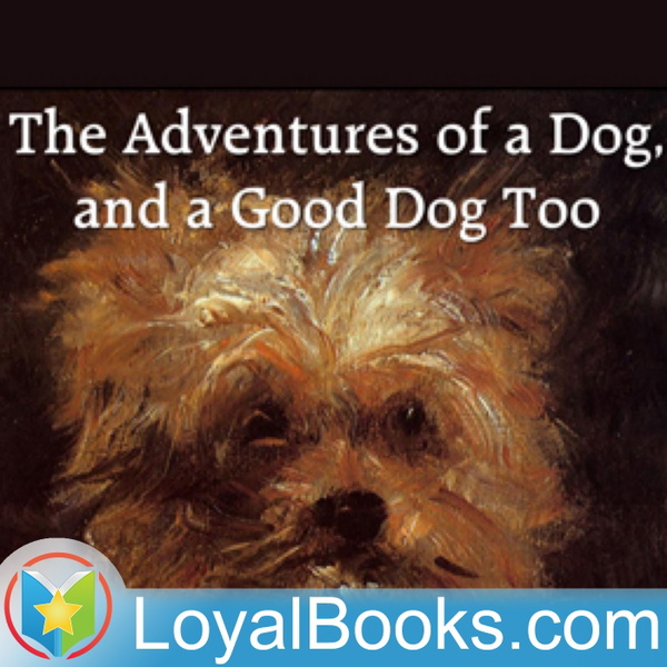Artwork for The Adventures of a Dog, and a Good Dog Too by Alfred Elwes