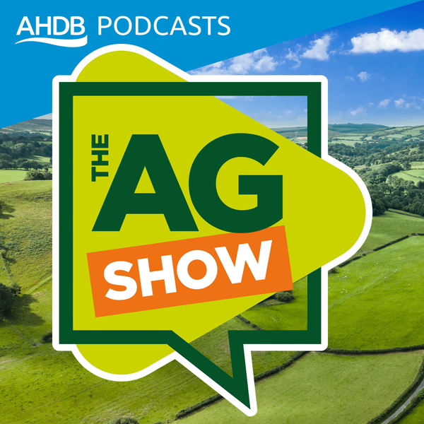Artwork for The AG Show