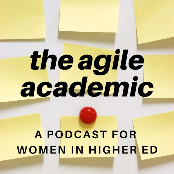 Artwork for the agile academic