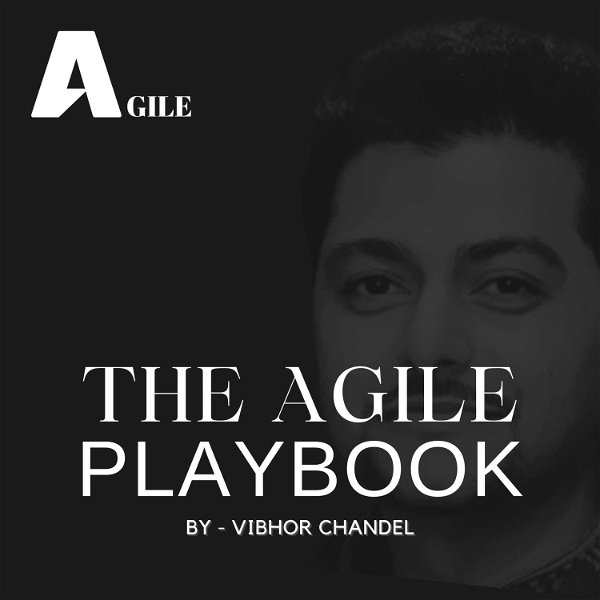 Artwork for The Agile Playbook