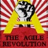 The Agile Revolution