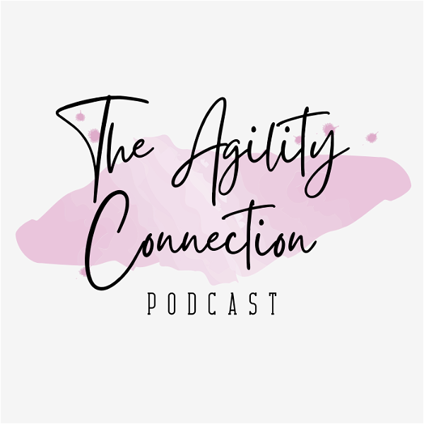 Artwork for The Agility Connection