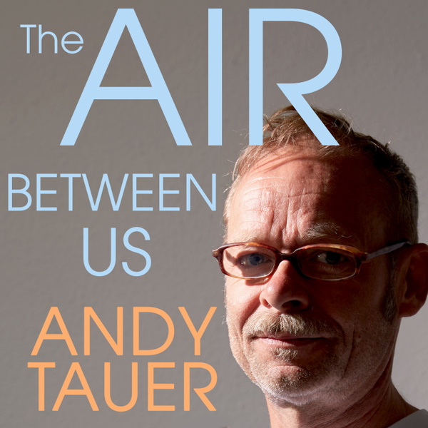 Artwork for The Air Between Us