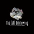The (all) Unknowing
