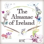 Artwork for The Almanac of Ireland