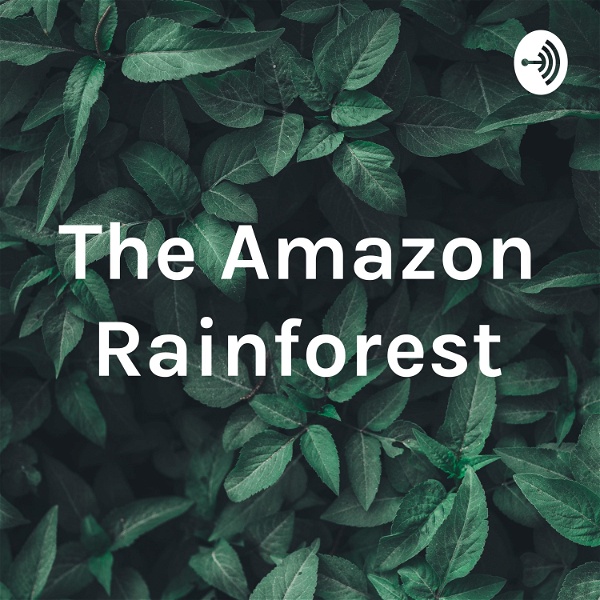 Artwork for The Amazon Rainforest