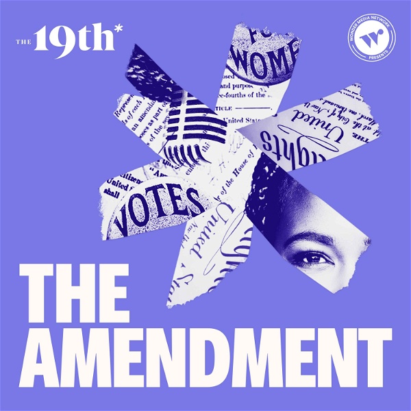 Artwork for The Amendment