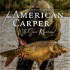 THE AMERICAN CARPER - With Sean Manning