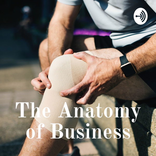 Artwork for The Anatomy of Business -Know your BMS of your Business