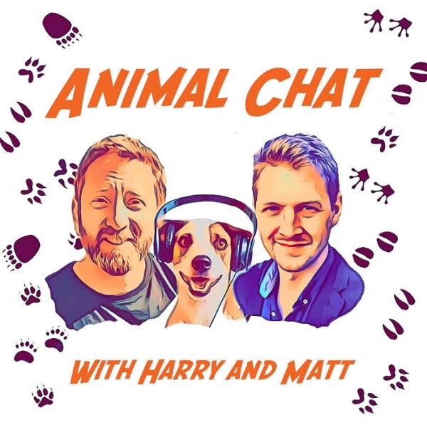 Artwork for The Animal Chat Podcast
