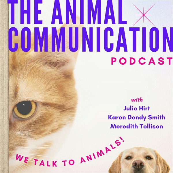 Artwork for The Animal Communication Podcast