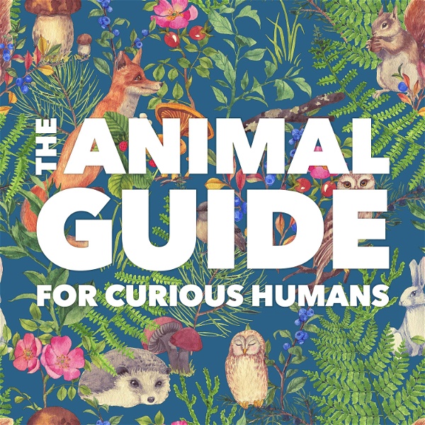 Artwork for The Animal Guide for Curious Humans