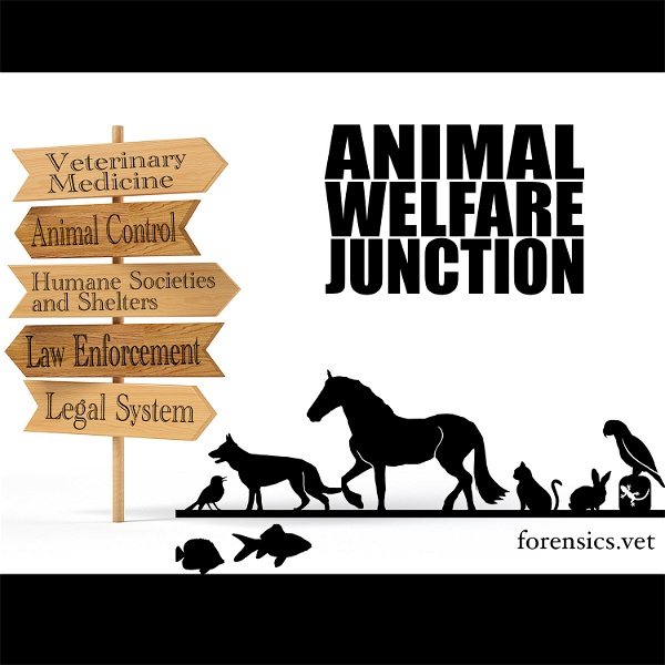 Artwork for The Animal Welfare Junction