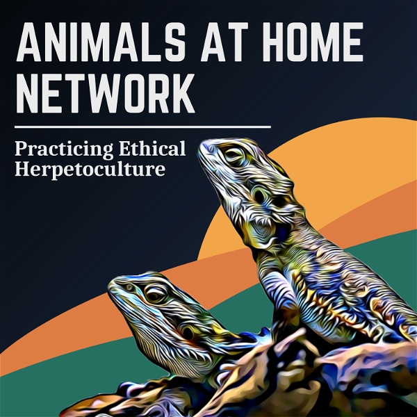 Artwork for Animals at Home Network