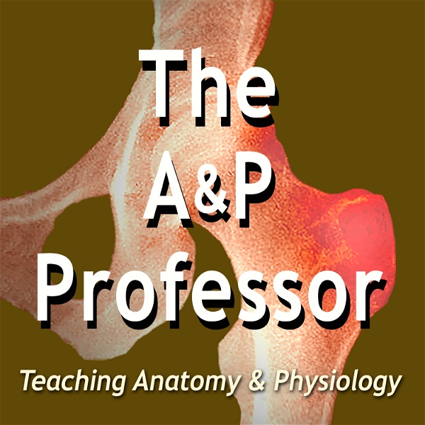 Artwork for The A&P Professor