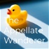 The Appellate Wanderer