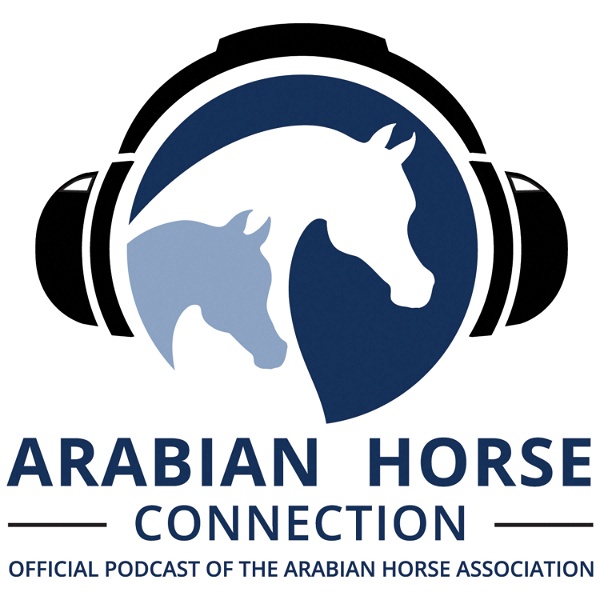 Artwork for The Arabian Horse Connection