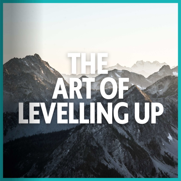 Artwork for The Art of Levelling Up