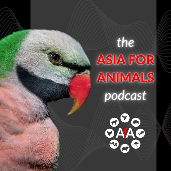 Artwork for The Asia for Animals podcast