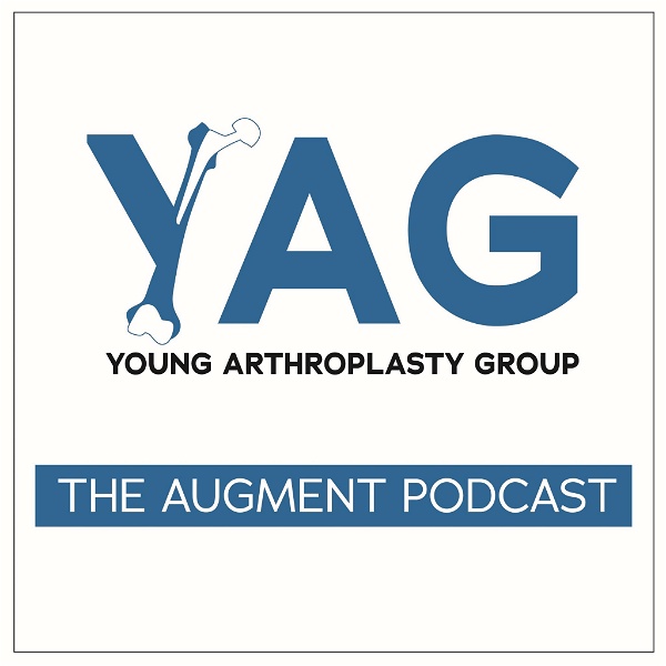 Artwork for The Augment from the AAHKS YAG