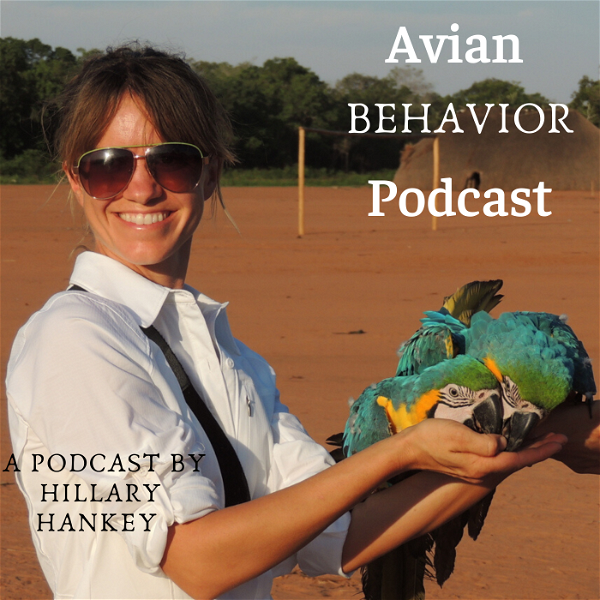 Artwork for The Avian Behavior Podcast