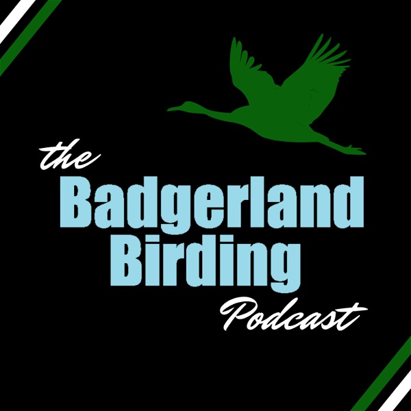 Artwork for The Badgerland Birding Podcast