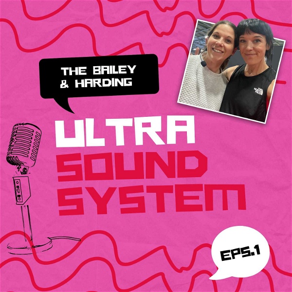 Artwork for The Bailey And Harding Ultra Sound System