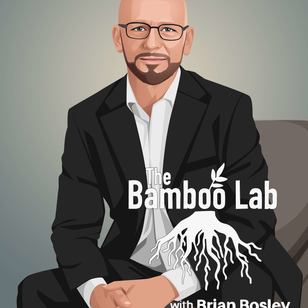 Artwork for The Bamboo Lab Podcast