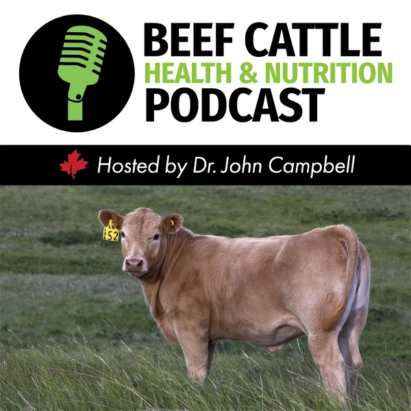 Artwork for The Beef Cattle Health and Nutrition Podcast