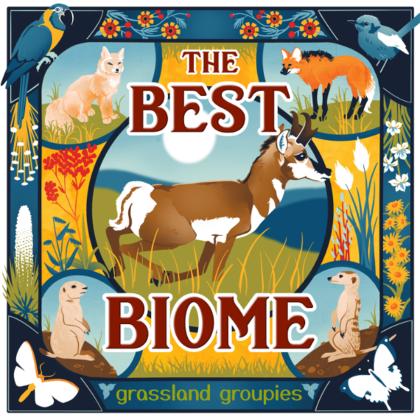 Artwork for The Best Biome