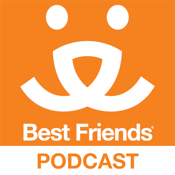 Artwork for The Best Friends Podcast