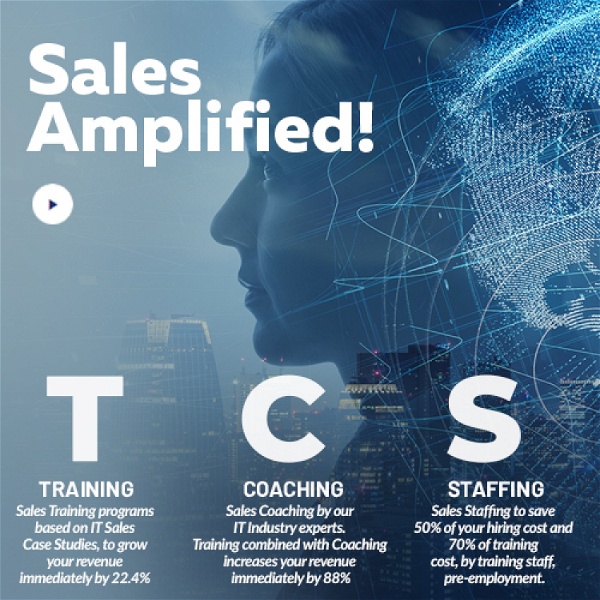 Artwork for IT Sales Training and Executive Search