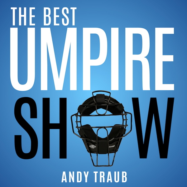 Artwork for The Best Umpire Show