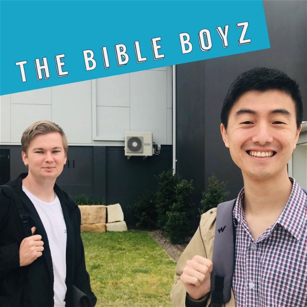 Artwork for The Bible Boyz